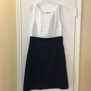 H & M White and Navy Dress